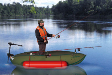 Fiera Millenaria di Gonzaga: DolphinSea™