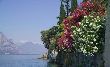 La classe Platu25 di scena a Malcesine
