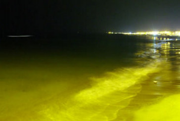 Domani la XIX edizione del premio oscar della vela