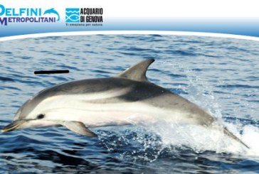 Goletta Liguria – 40 porti in 70 giorni: salpata dal Porto di Genova coi Delfini Metropolitani