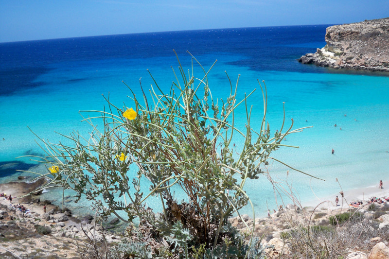Campionati Mondiali Giovanili di Vela del 2018: il sogno di Lampedusa