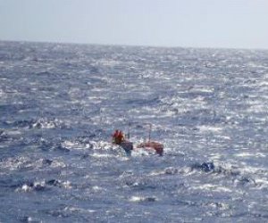 Biondina Nera e Musto