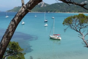 Marina di Andora: stage Ormeggi & Ancoraggi