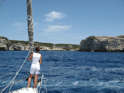 Vacanze a Vela sulle Rotte dei Cetacei